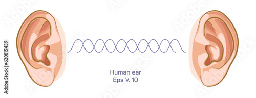 Difference between two ears, double hearing, density or pressure of sound, different frequency, compression, rarefaction and ambient pressure. travelling sound wave, Dysharmonica and echoica. sound