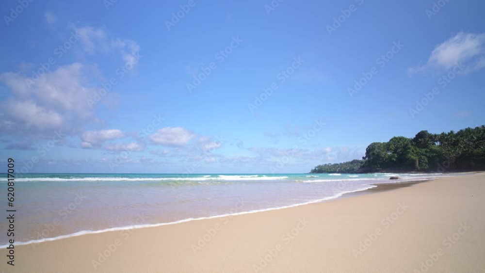 A pristine sandy beach with trees and blue ocean in the background. copy space. A pristine sandy beach with trees and blue ocean in the background. copy space.