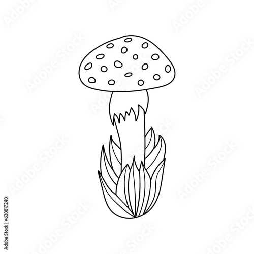 Hand drawn mushroom in grass, doodle cute fly agaric in cartoon style. Isolated on white background.