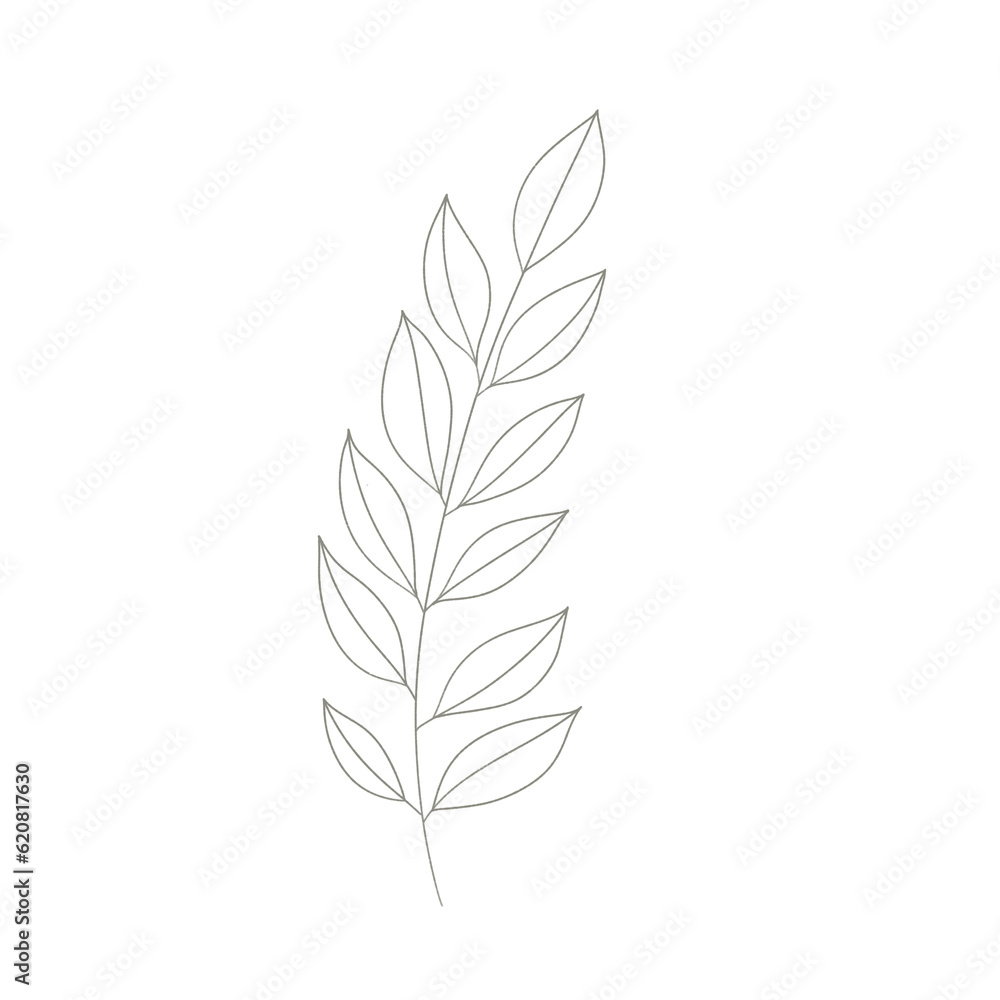 Botanical elegant line art minimalist modern style. png illustrations