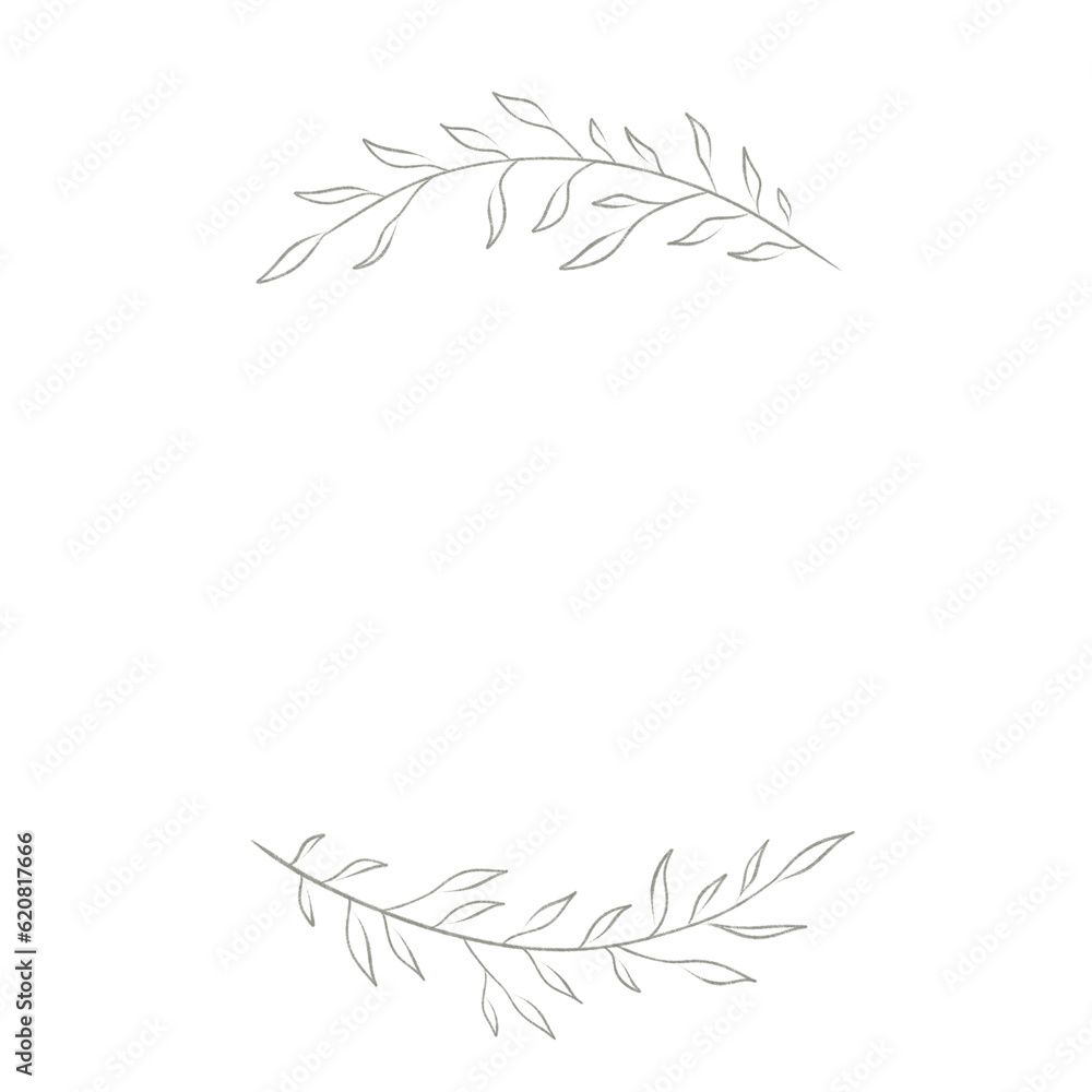 Botanical elegant, delicate hand dra wn elements, minimalist modern style. png illustrations.