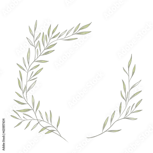 Botanical elegant frame with hand drawn. delicate hand drawn elements  minimalist modern style. png illustrations
