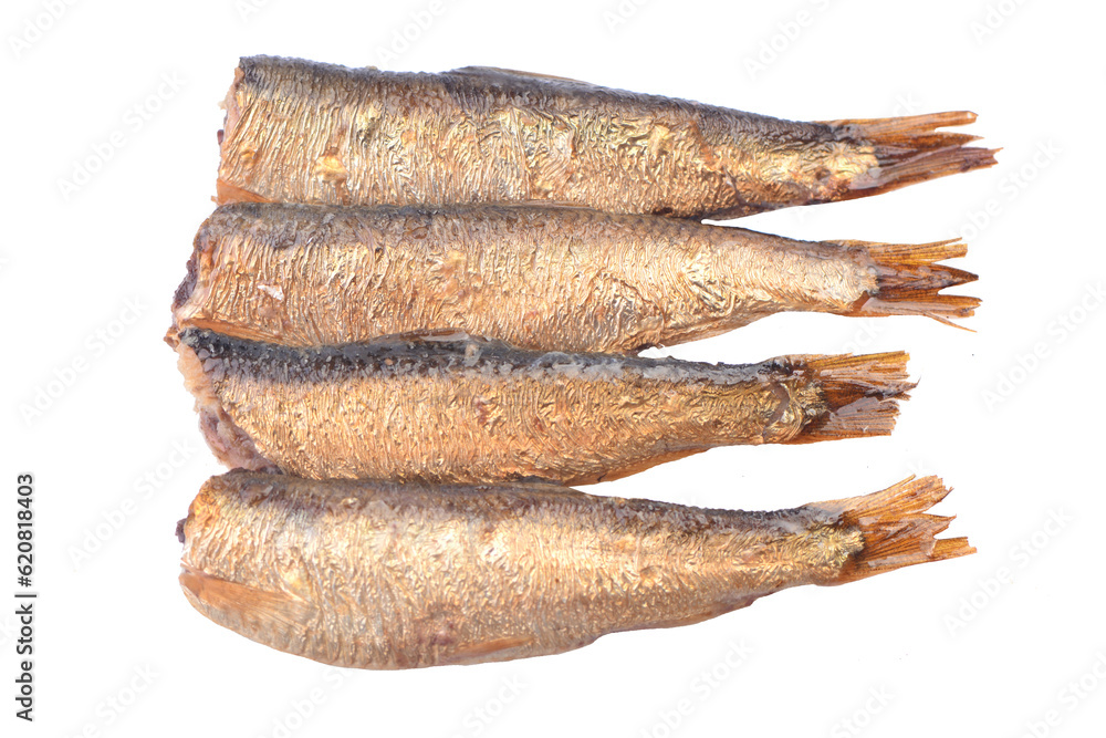 Sprats on white background isolated Sprats on white background isolated