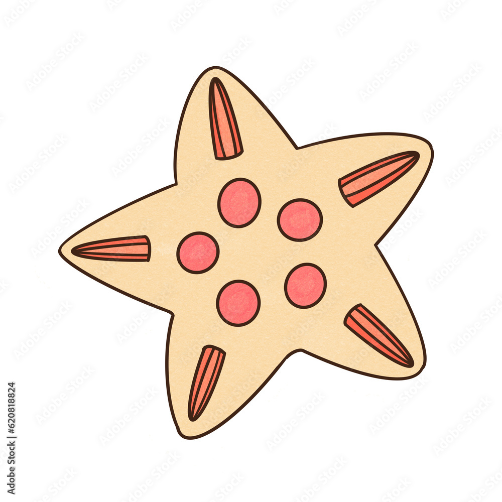 red star fish red star fish