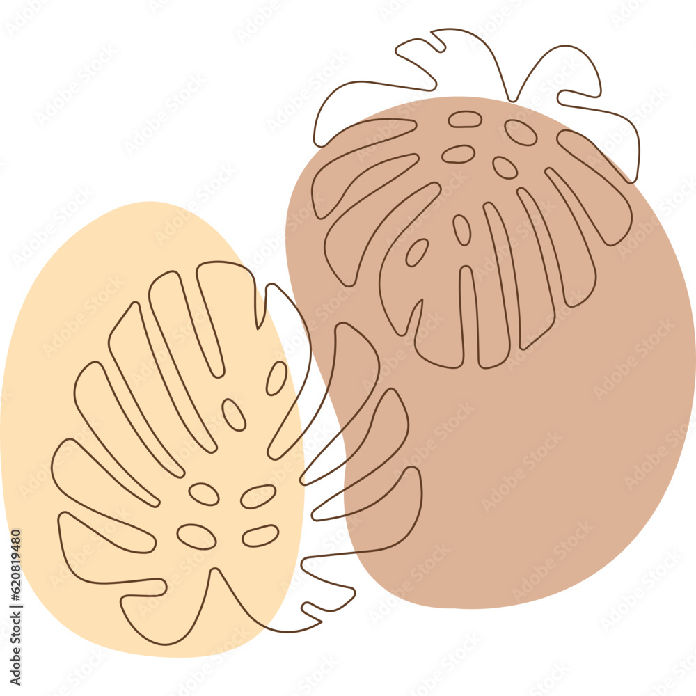 Boho Monstera Leaves Boho Monstera Leaves
