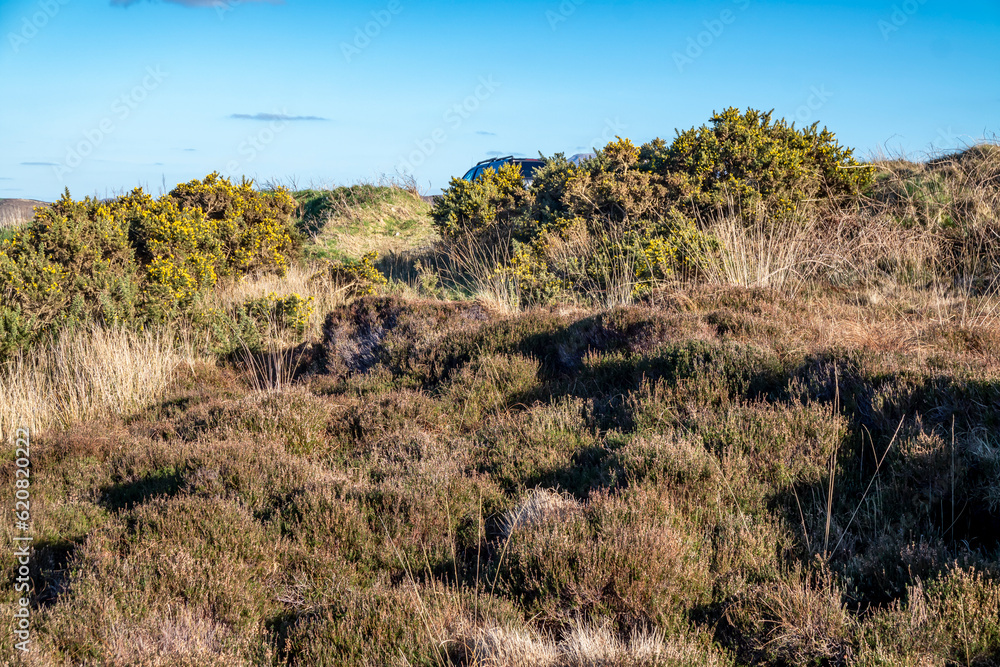Peat Turf cutting in County Donegal - Ireland Peat Turf cutting in County Donegal - Ireland