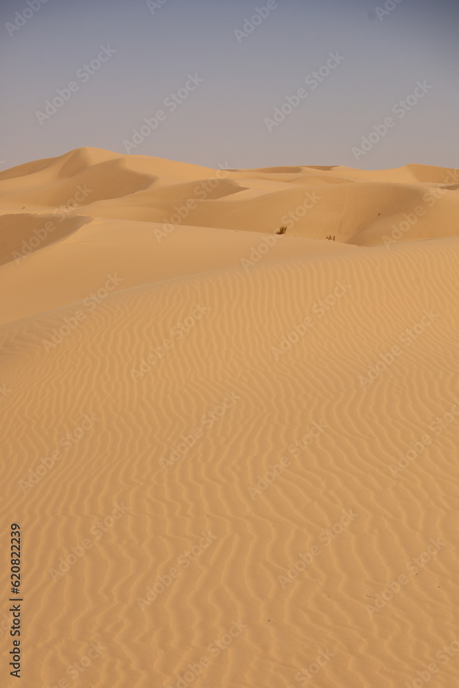 The Sahara desert shows the dunes and beautiful curves and patterns created by nature. Algeria. 