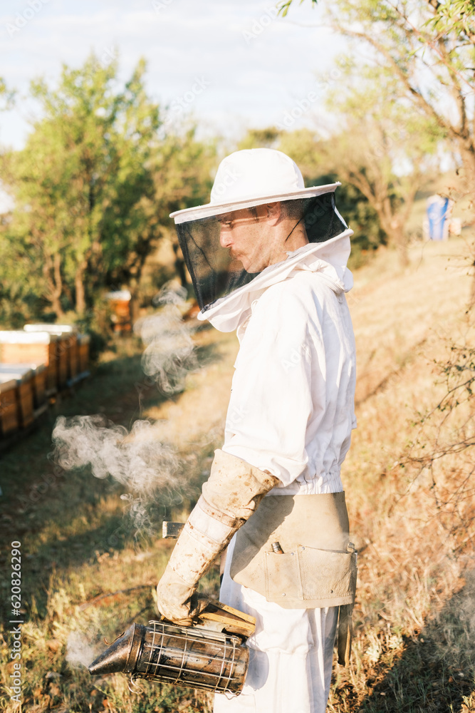 Male beekeeper with smoker working in apiary Male beekeeper with smoker working in apiary