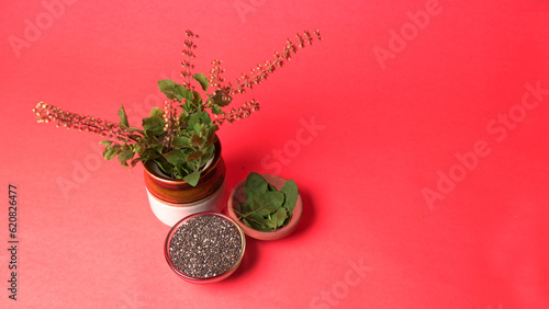 Holy basil, tulasi or tulsi, is an aromatic perennial plant in the family Lamiaceae.Tulsi is kept on earthenware.Is also known as Ayurvedic Tulsi (Queen of herbs).