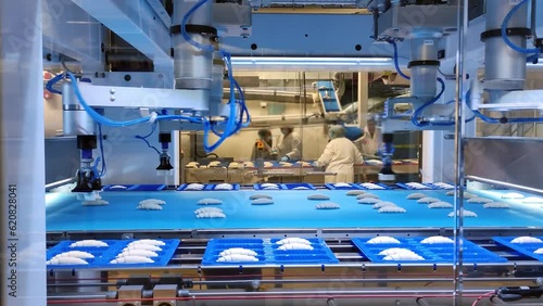 A modern factory uses automated machinery to produce croissants. Automated machinery avoids unsanitary conditions in the production of croissants. Concept Entrust all the work to automated machinery.