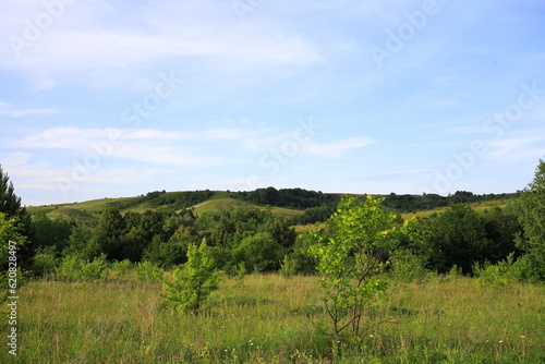 a field with green grass and dense forest, and a beautiful sky. scenery. park area. 
