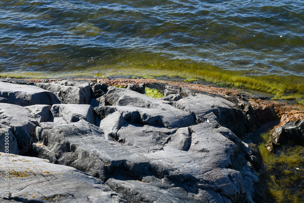 Seashore in summer in the archipelago in Finland Seashore in summer in the archipelago in Finland