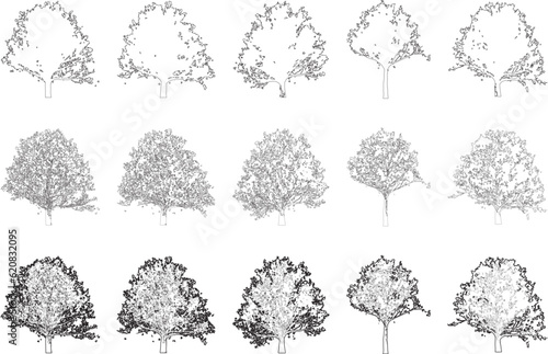 Tree elevation line silhouettes - oak tree photo