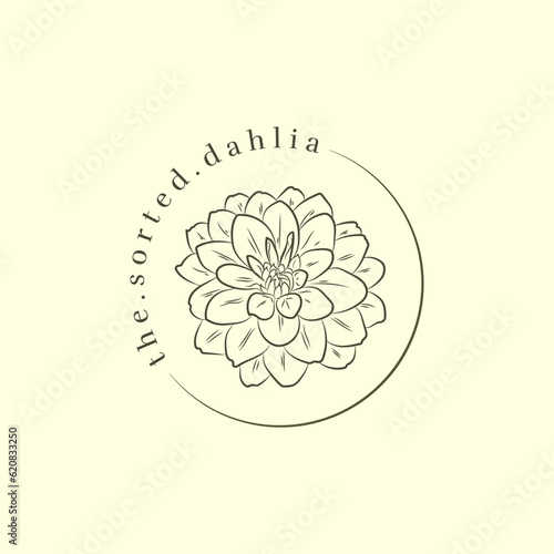 Hand drawn dahlia flower logo illustration design for your business