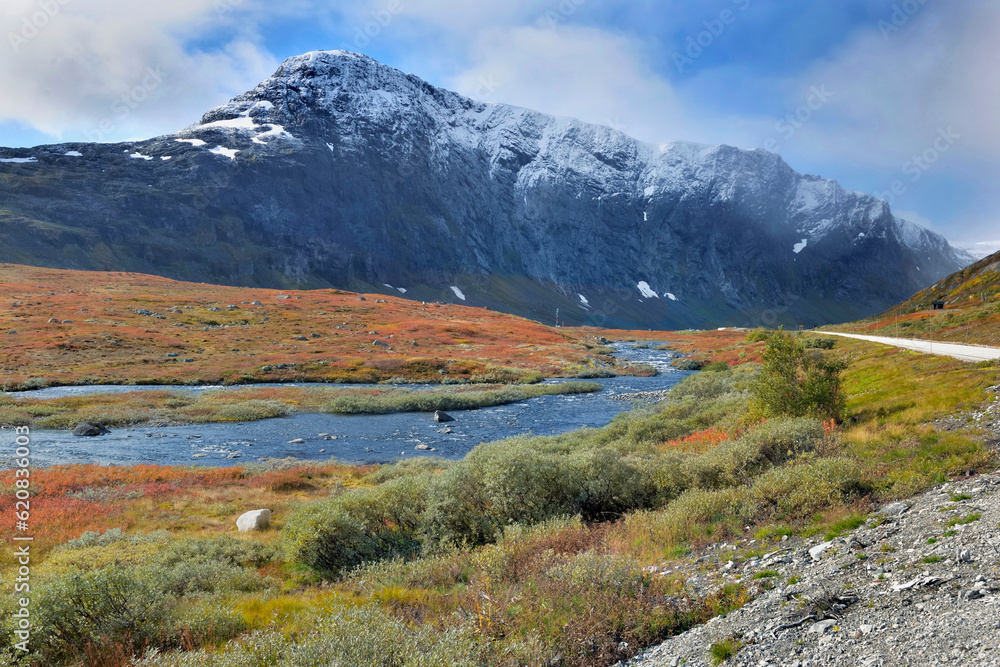 view on autumn colored plants growing at the water's edge with mountains background in Norway view on autumn colored plants growing at the water's edge with mountains background in Norway