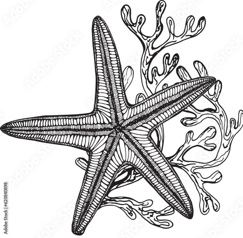 Marine composition of starfish, algae, bubbles. Black and white hand-drawn graphics translated into vector. The illustration is intended for  packaging, prints, stickers, posters, postcards