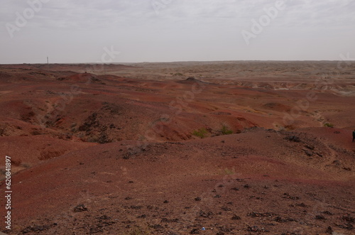 Red Gobi desert