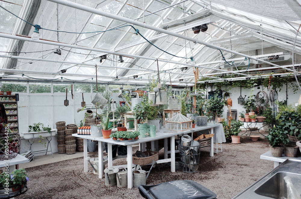 scene of the European plants nursery scene of the European plants nursery