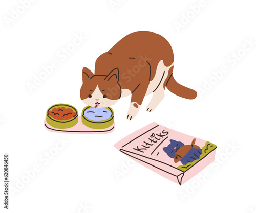 Cute cat eating food, drinking water from bowls. Hungry adorable kitty and healthy feline feed, nutrition. Happy home animal, pet with snacks. Flat vector illustration isolated on white background