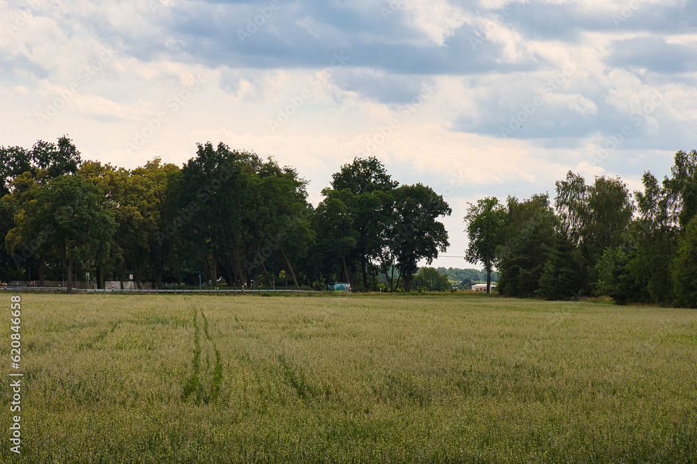 Rundweg um der Gorinsee, Wandlitz, Ortsteil Schönwalde, Brandenburg, Deutschland