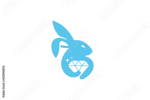Creative logo design depicting a bunny holding a diamond, designated for the fashion or apparel industry.