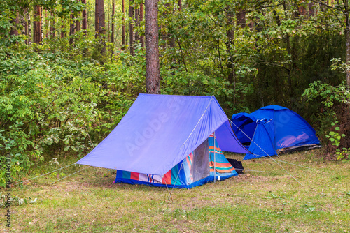 Tourist Camp. Tenting in a clearing in a pine forest in summer