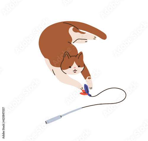 Cute cat playing with interactive stick toy. Happy funny playful kitty catchi...