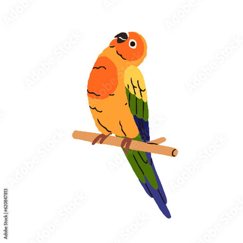 Aratinga parrot. Cute sun parakeet sitting on perch. Funny multicolored bird. Exotic tropical jungle birdie, colorful plumage. Colored flat graphic vector illustration isolated on white background