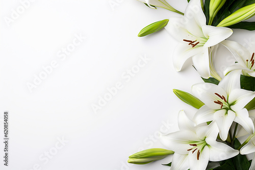 Photographie Top view minimal vibrant peace lillies with copy space background