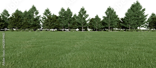 Realistic meadow and forest tree line. 3d rendering of isolated objects. photo