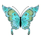 Watercolor blue butterfly, hand painted illustration, isolated on white background