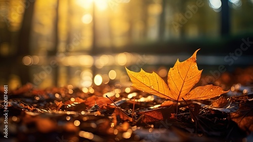  close up maple leaves on ground with sunlight and bokeh  peaceful Autumn and fall season foliage wallpaper background  Generative Ai