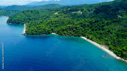 Beach with palm trees. Aerial view of a tropical island. Blue sea, sandy beach, tropical rainforest. Jungle by the sea.