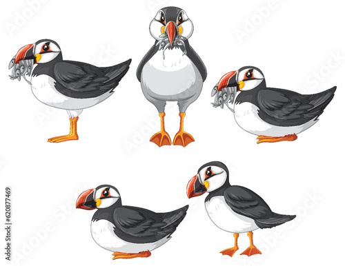 Set of puffin bird cartoon character in different poses