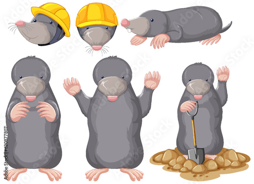 Set of moles cartoon character