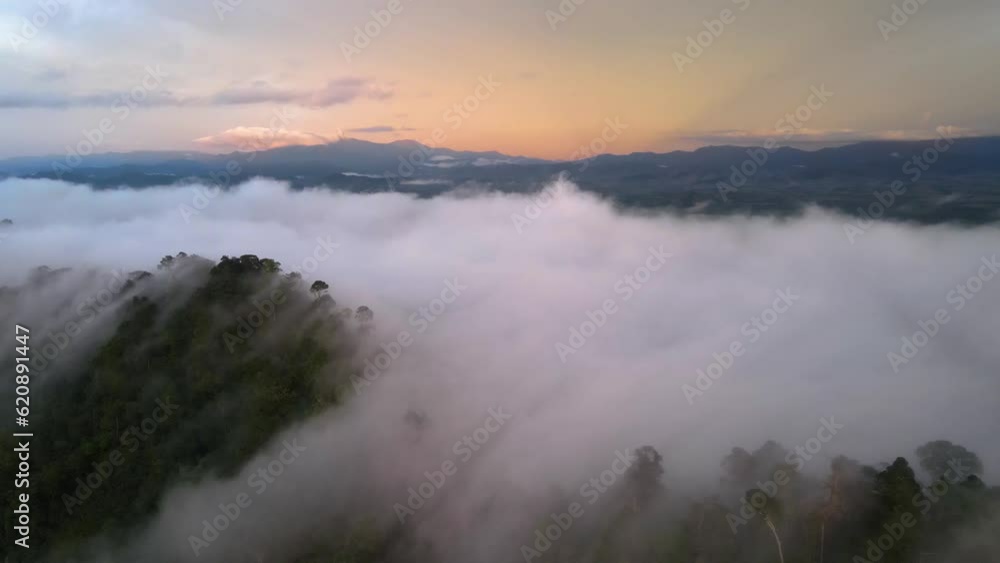 Mountain with foggy in morning moving on blue sky natural background. top view with frist light golden time Mountain with foggy in morning moving on blue sky natural background. top view with frist light golden time
