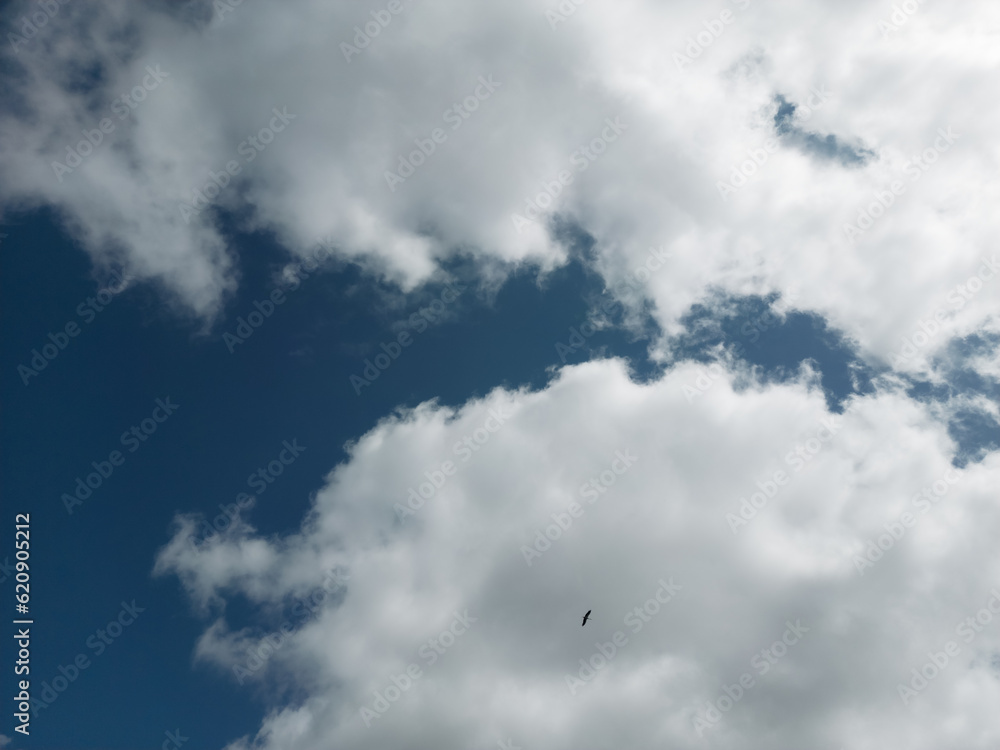 Blue sky with white clouds and the silhouette of a stork high in the air. Blue sky with white clouds and the silhouette of a stork high in the air.