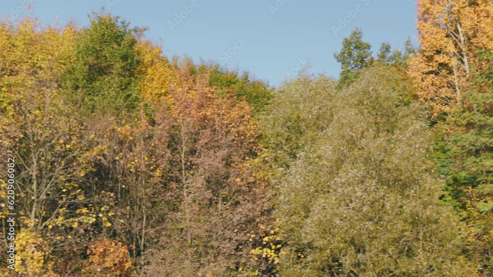 lake in autumn against the background of yellowed trees lake in autumn against the background of yellowed trees