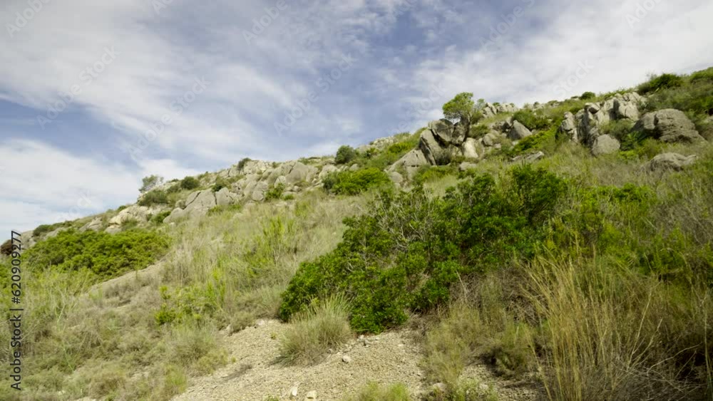 Walk through the green forest between the high rocky hills in Spain. Blue sky on a sunny day in the province of Castellon.Walk through the green forest near the hills in Spain. Highway with cars Walk through the green forest between the high rocky hills in Spain. Blue sky on a sunny day in the province of Castellon.Walk through the green forest near the hills in Spain. Highway with cars
