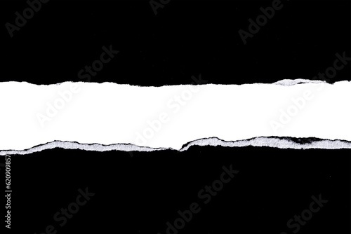 Принти на полотні Rough ripped paper copy space