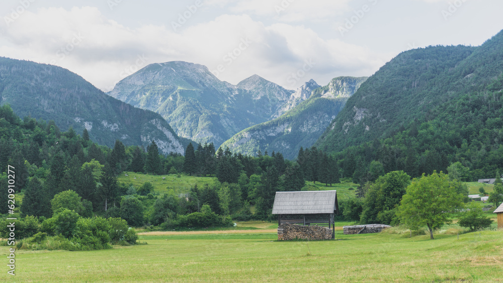 Panorama of the Alps from Bohinj lake, Slovenia, on a cloudy day 
