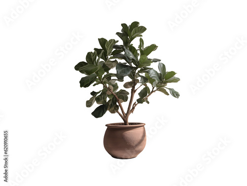 鉢植え観葉植物の美しさ（切り抜き） No.027  Beauty of potted houseplants (clipping) Generative AI