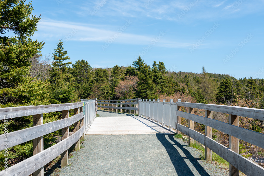 A park walkway with a wooden bridge over a steep valley. The wood bridge has metal railings. There's a thick woods of tall trees in the background. The path is covered in gravel. A park walkway with a wooden bridge over a steep valley. The wood bridge has metal railings. There's a thick woods of tall trees in the background. The path is covered in gravel.