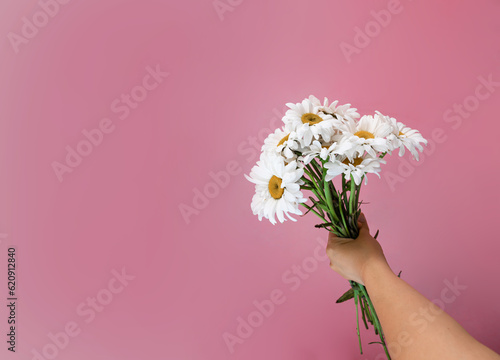 Minimal design flat lay. Female hands holding daisies bouquet on pink background.