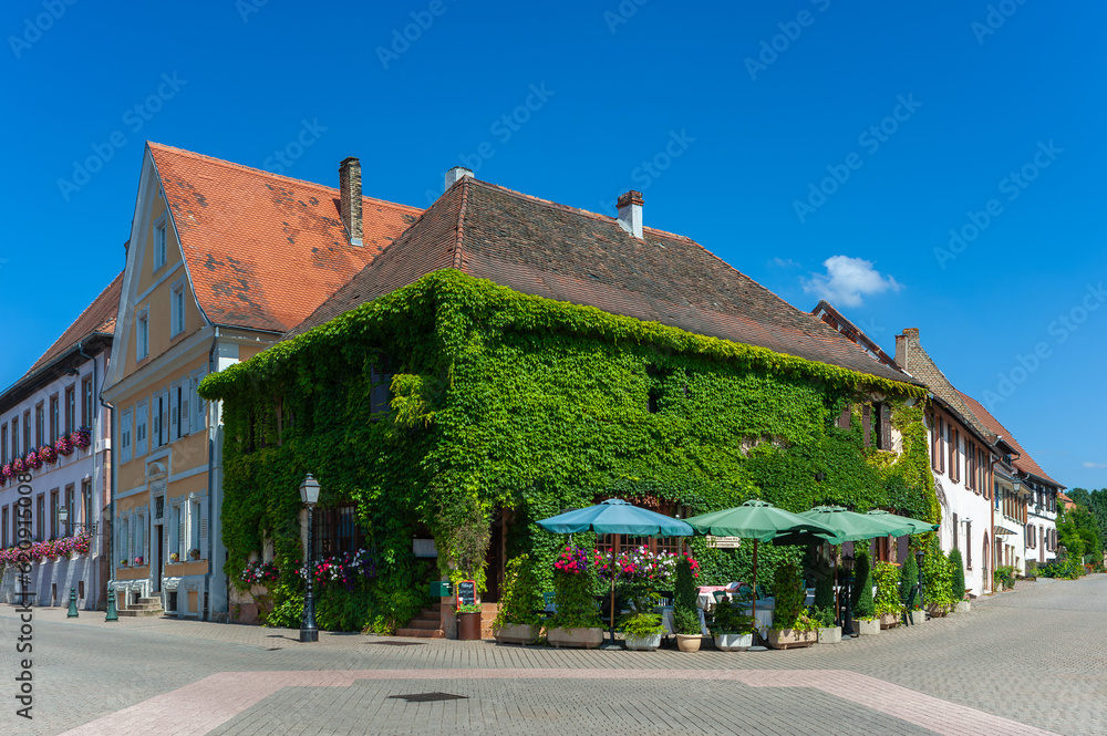 Das Gasthaus Au Boef in Lauterbourg, dessen Fassade vollständig mit Efeu bewachsen ist. Departement Elsass in Frankreich