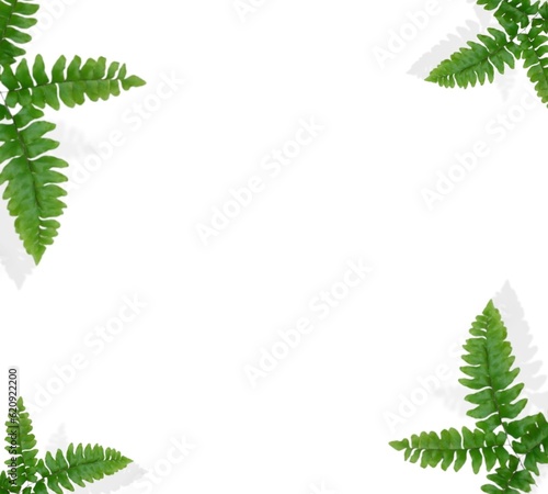 Green tree isolated on translucent background forest and summer leaves
