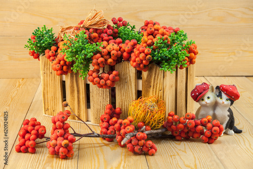 Red rowan berries on a rowan tree. with green leaves. They are in a wooden basket. A rowan tree on a branch. Ashberry. non-GMO. low-growing woody plants of the apple family (Rosales).Still-life	