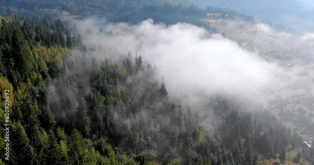 Aerial survey of mountains covered with green forests and spruce with fog or smoke between them in summer weather. The relief surface of the Earth with forests, meadows and small villages, settlements Aerial survey of mountains covered with green forests and spruce with fog or smoke between them in summer weather. The relief surface of the Earth with forests, meadows and small villages, settlements
