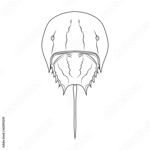 Asia Horseshoe Crab (Tachypleus tridentatus) isolated on white background. Vector illustration EPS 10. editable stroke.
