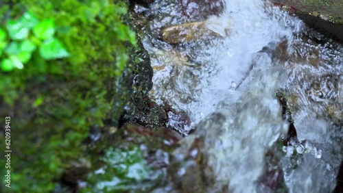 渓流の清水